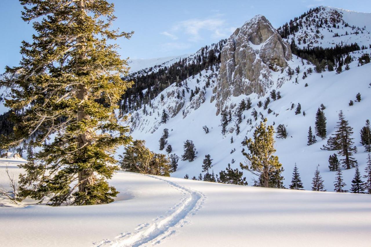 Crestview Villa Mammoth Lakes Dış mekan fotoğraf