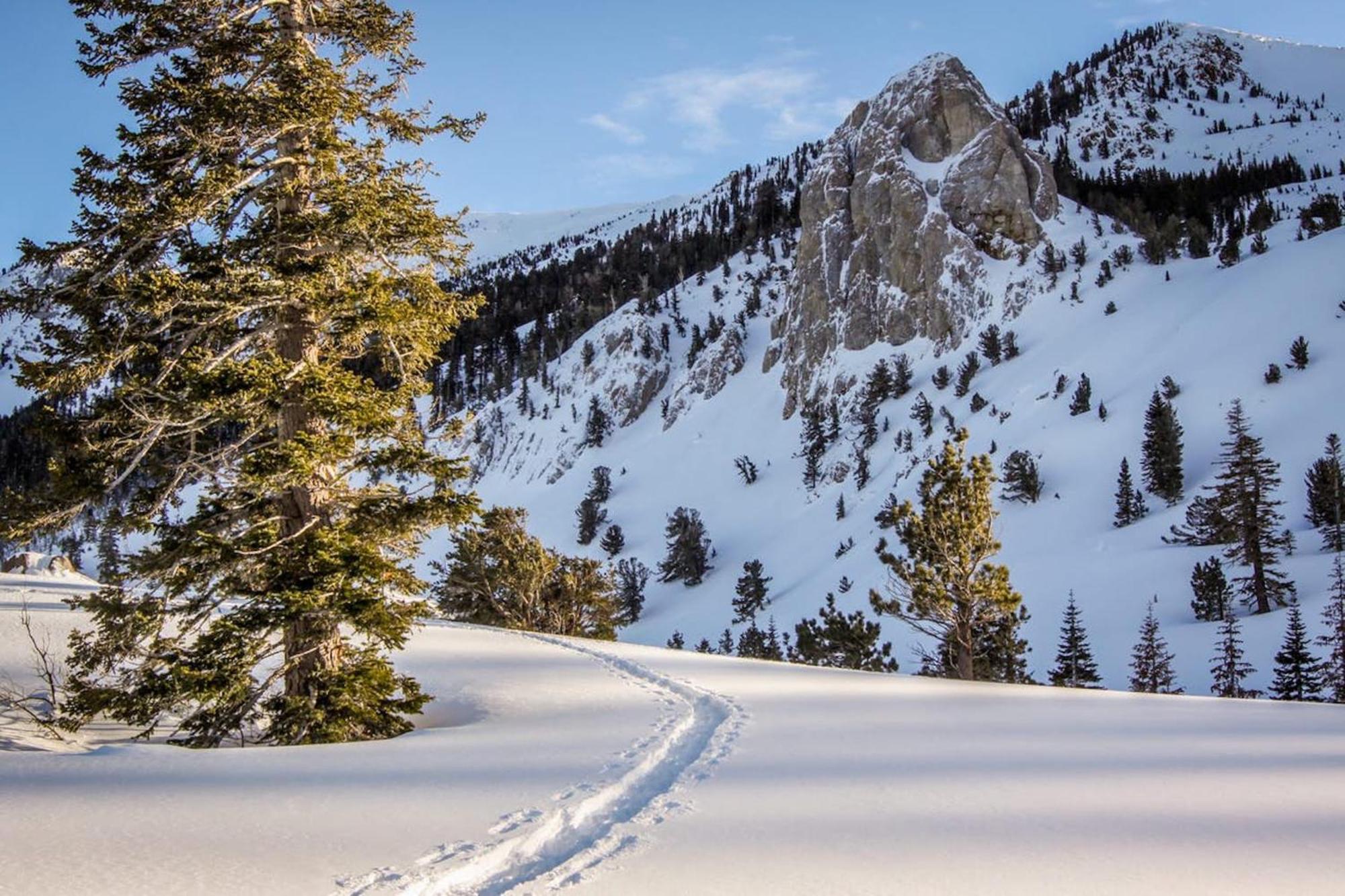 Crestview Villa Mammoth Lakes Oda fotoğraf